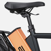 ENGWE P275 Pro