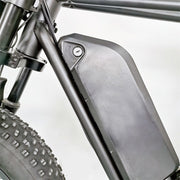 GreenTrip C91 Fatbike 1000W - Brun