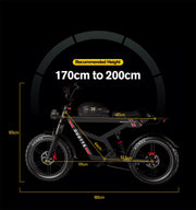 Duotts F20 - Elfatbike