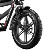 Duotts F20 - Elfatbike