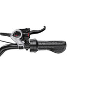 Duotts F20 - Elfatbike