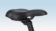 Engwe P275 SE