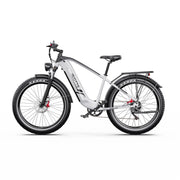 Duotts E29