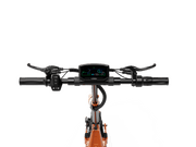 RCB D7
