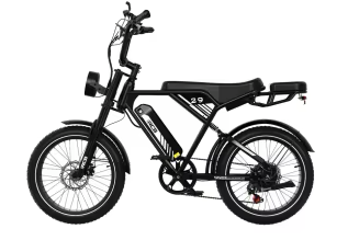 Greentrip UrbanRide 29 – Elcykel med Extra Säte för Smidiga Stadsturer